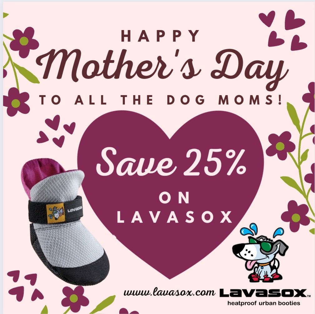 Happy Mother's Day Weekend! 💐 Celebrate with 25% off on Lavasox! Treat your furry friend 🐶 to something special this Mother's Day - Lavasox dog booties! 🐾 As Dog Moms, we want the very best for our pups and keeping their paws 🐾 protected is at the top of the list.