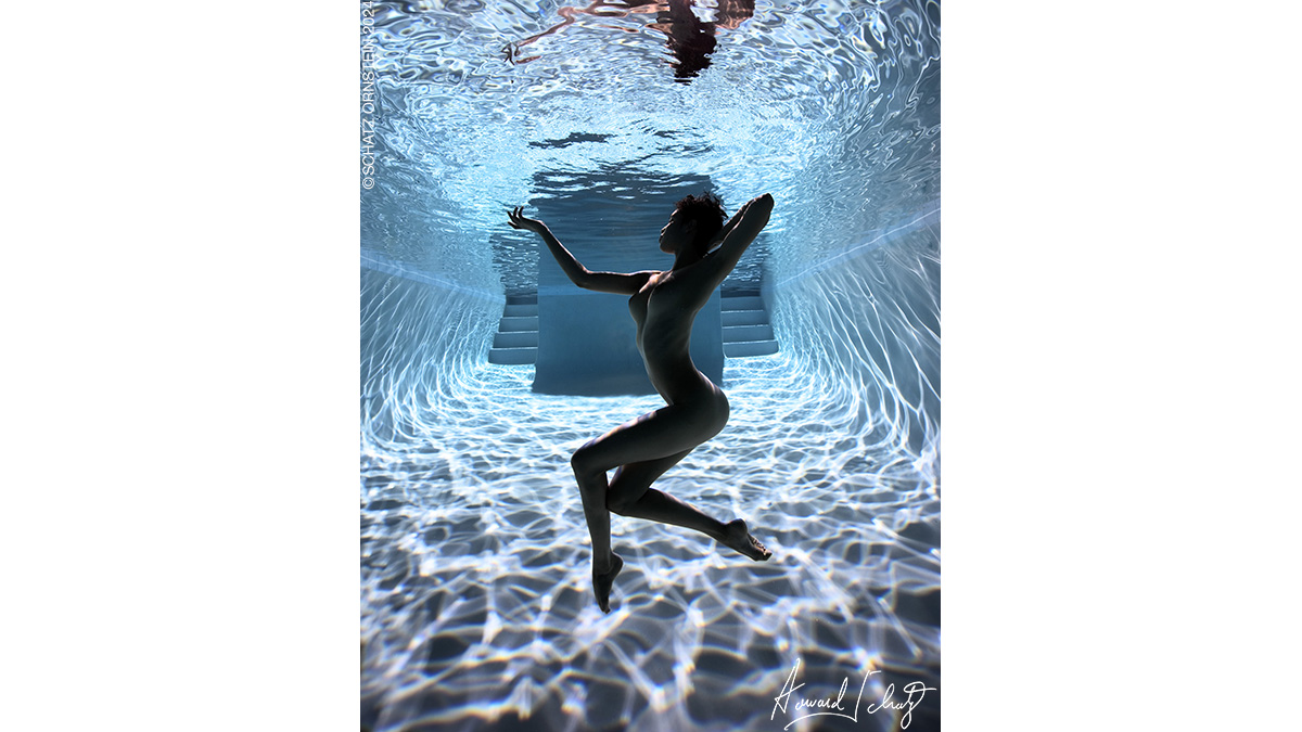 Underwater Study #2826: Dasniya Sommer, photographed at night.
.
#photography #photographer #fineart #howardschatz #underwaterphotography #underwater #artoftheday #artcurator #artcollector #artlovers #fineartcollector #artcurators #collectingart #humanbeauty #beauty #dance