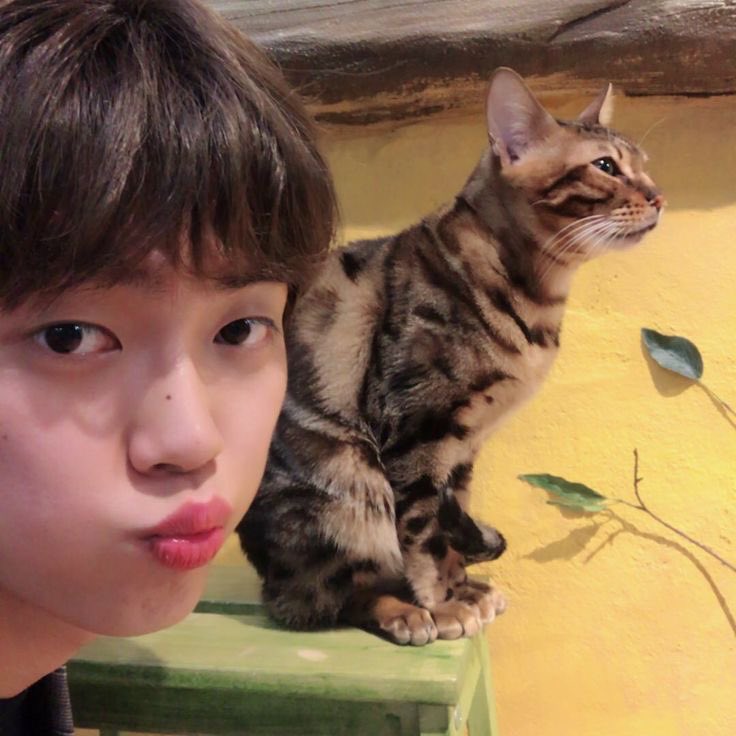 unonfficial's tweet photo. best minkyun photo ever https://t.co/TLSTzDlbVD