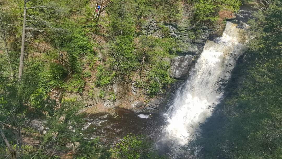 MysticArrow8's tweet photo. 6 year ago took a trip I will never forget! Many special memories 🌿🇺🇸
#BushkillFalls The
"Niagara of Pennsylvania" https://t.co/crrPHAMnzq