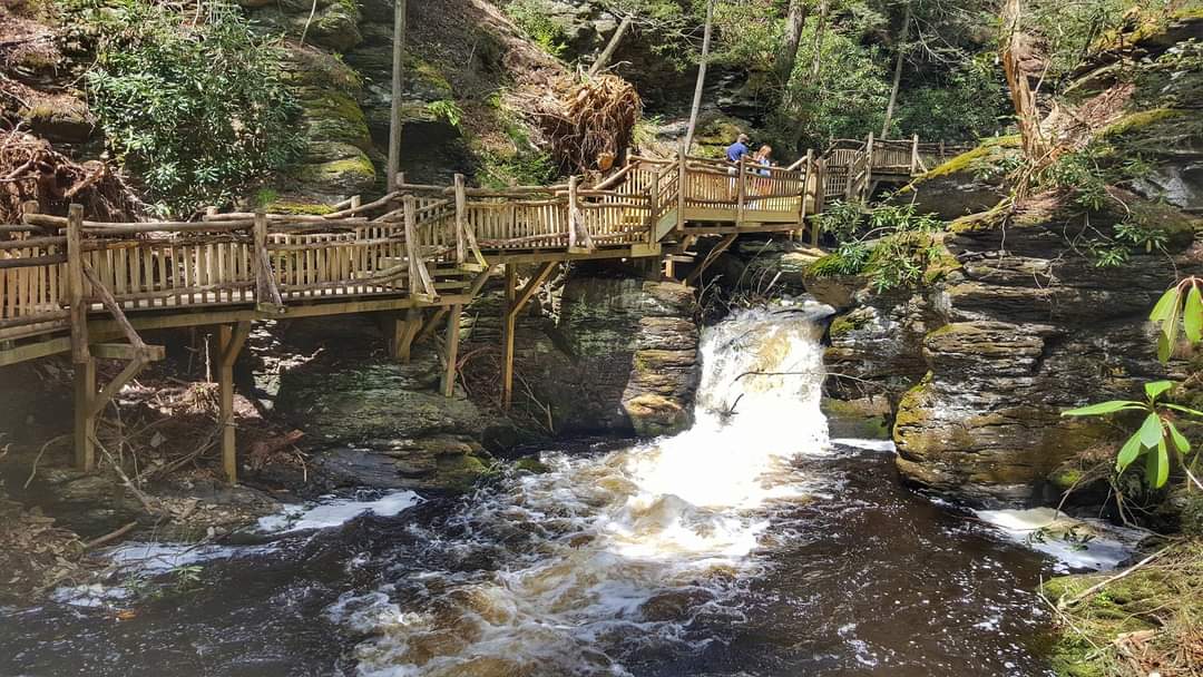 MysticArrow8's tweet photo. 6 year ago took a trip I will never forget! Many special memories 🌿🇺🇸
#BushkillFalls The
"Niagara of Pennsylvania" https://t.co/crrPHAMnzq