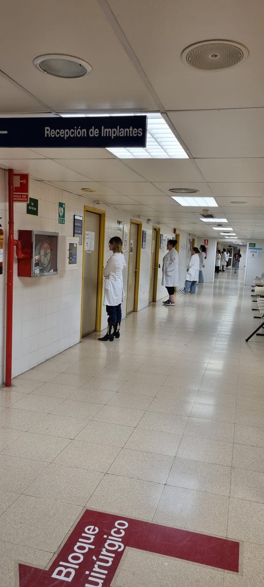 Pilar López tweet media