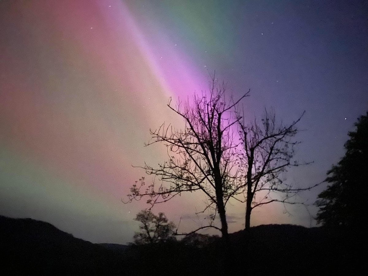 🏴󠁧󠁢󠁷󠁬󠁳󠁿 Pengwern: Self-catering. B & B. tweet media