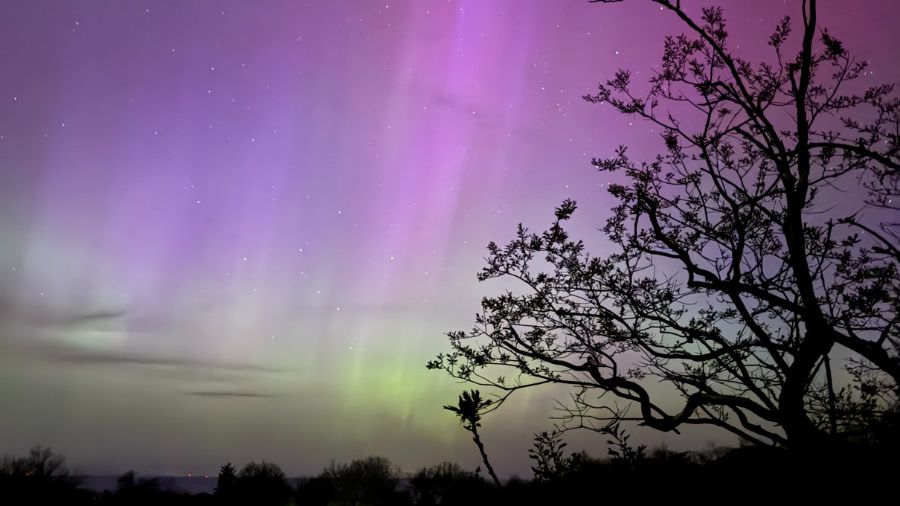 Did you catch the northern lights last night? A bunch of our staff did, WBZ's Kyle Bray snapped the lights above Gloucester. Good news is if you missed them, there should be another showing after 10 p.m. tonight. Ask Alexa to play WBZ NewsRadio on #iHeartRadio.