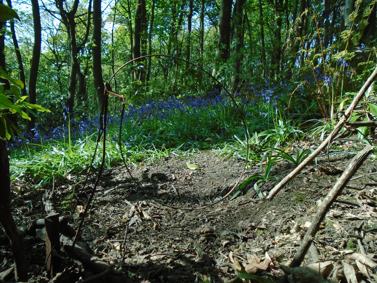 📢Please be alert for snares and stink pits in the @peakdistrict this weekend. 🐾Gamekeepers target our wild species in order to raise grouse to be shot for fun. 📸Be vigilant, record, report and help end the carnage. 📍#Sheffield #Bamford #Hathersage #Ladybower #Stanage