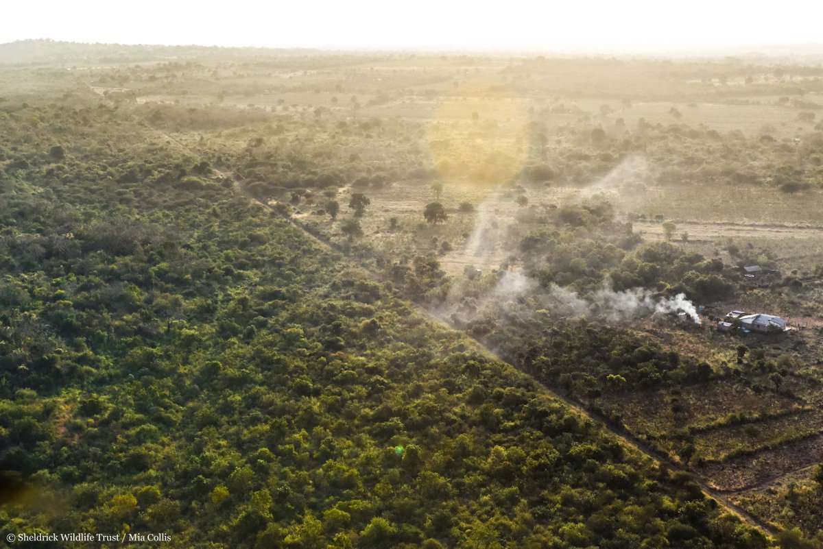 Electric, beehive, rhino-proof: to date, we've erected over 450km of fencelines. Without cutting off migratory routes completely, these wild borders protect wild habitats, reduce conflict between communities & wildlife & create local employment through monitoring & maintenance.