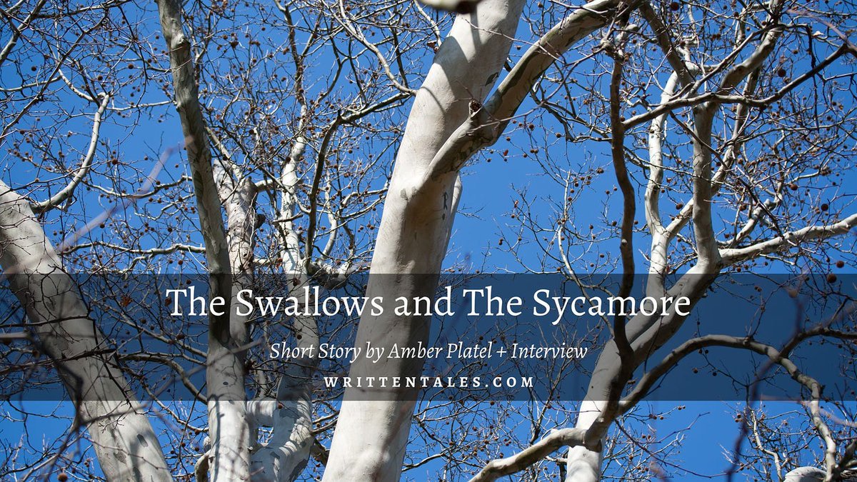 Fly with 'The Swallows and The Sycamore' by Amber Platel. Submissions open at Written Tales. Let your stories soar high! 🕊️📝 #WrittenTales writtentales.substack.com/p/the-swallows… #shortstory #literatureposts #fiction #poetry #WritingCommunity #opensubmissions #litmag