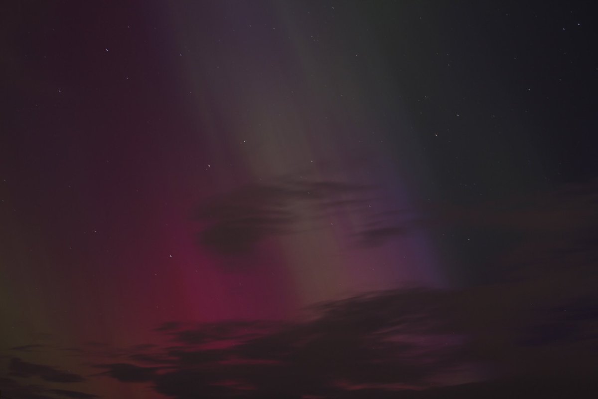 BarryGunning tweet media