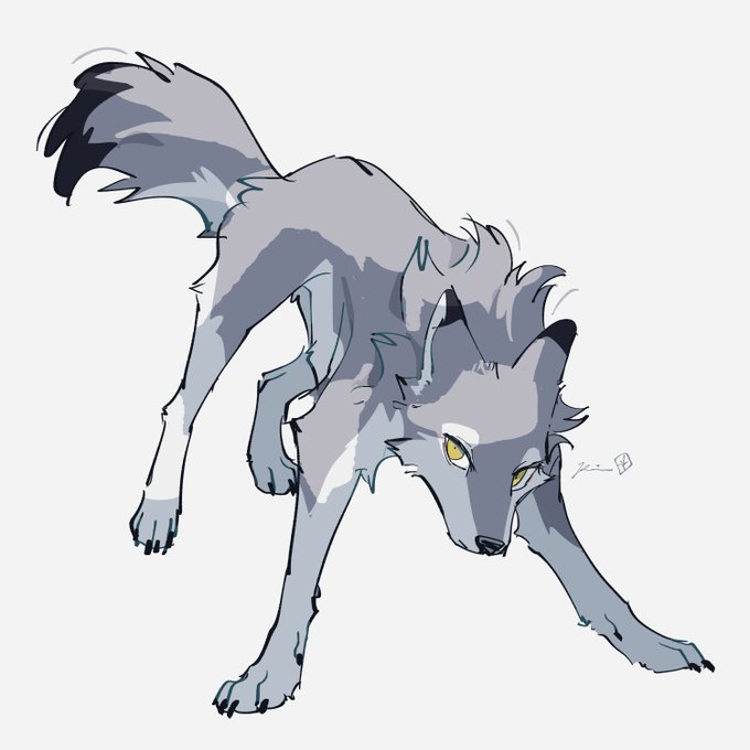 「no humans wolf」 illustration images(Latest)