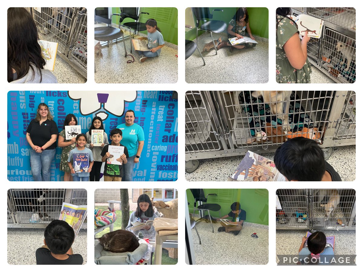 Linda Moore (@golibrary103) on Twitter photo <a href="/NISDGlenoaks/">Glenoaks Elementary</a> students shared their love of reading with the sweet animals <a href="/sahumane/">SA Humane Society</a> for the last time this year ❤️🐾📚 It has been a beautiful partnership❣️ <a href="/golibrary103/">Linda Moore</a> <a href="/NISDLib/">NISDLibraryServices</a> <a href="/NISD/">Northside ISD</a> <a href="/NISDGlenoaks/">Glenoaks Elementary</a> students shared their love of reading with the sweet animals <a href="/sahumane/">SA Humane Society</a> for the last time this year ❤️🐾📚 It has been a beautiful partnership❣️ <a href="/golibrary103/">Linda Moore</a> <a href="/NISDLib/">NISDLibraryServices</a> <a href="/NISD/">Northside ISD</a>