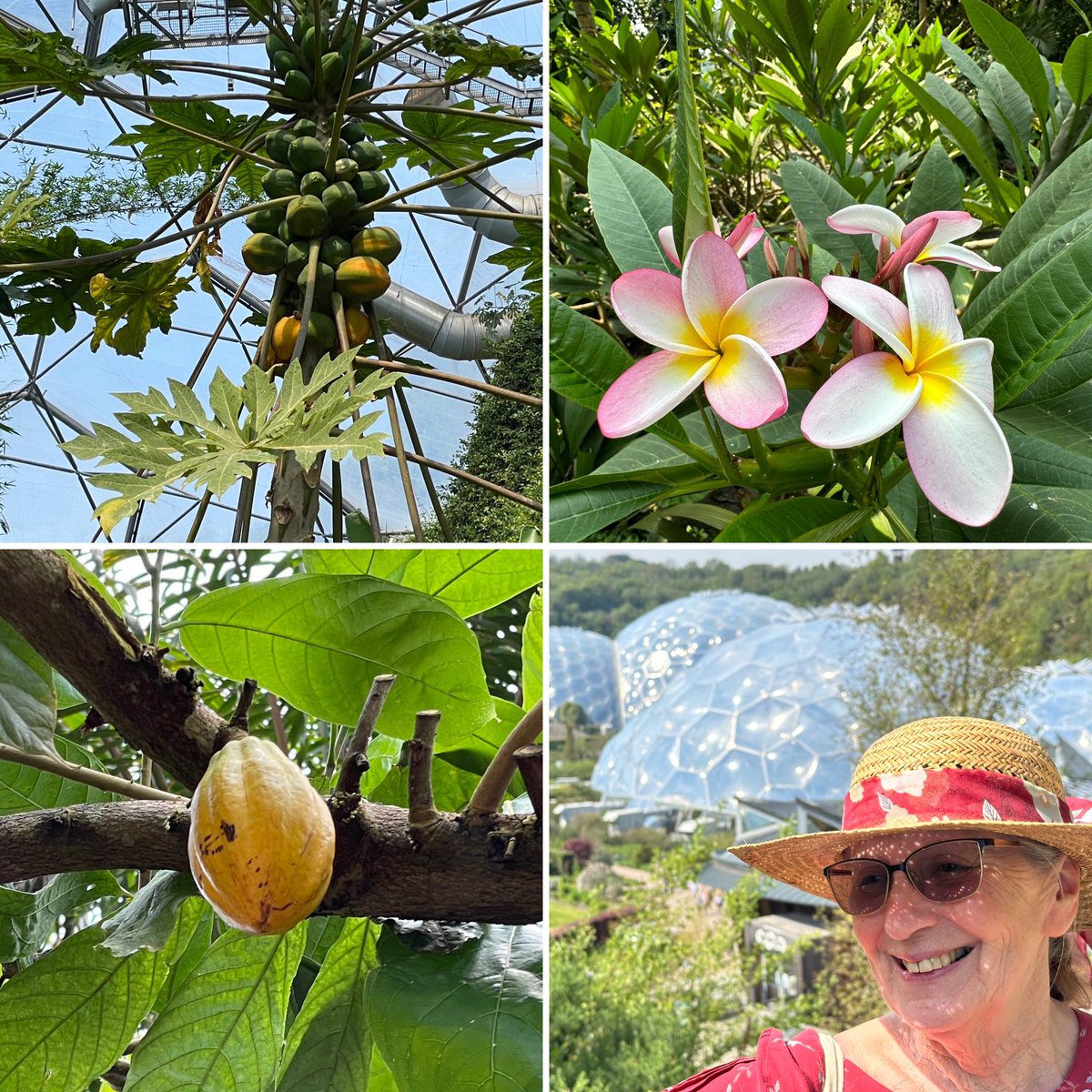 Took a whole day off and visited the Eden Project.  @EdenProject 

Haven’t been there for years. Lots of reminders of our former life in the tropics.