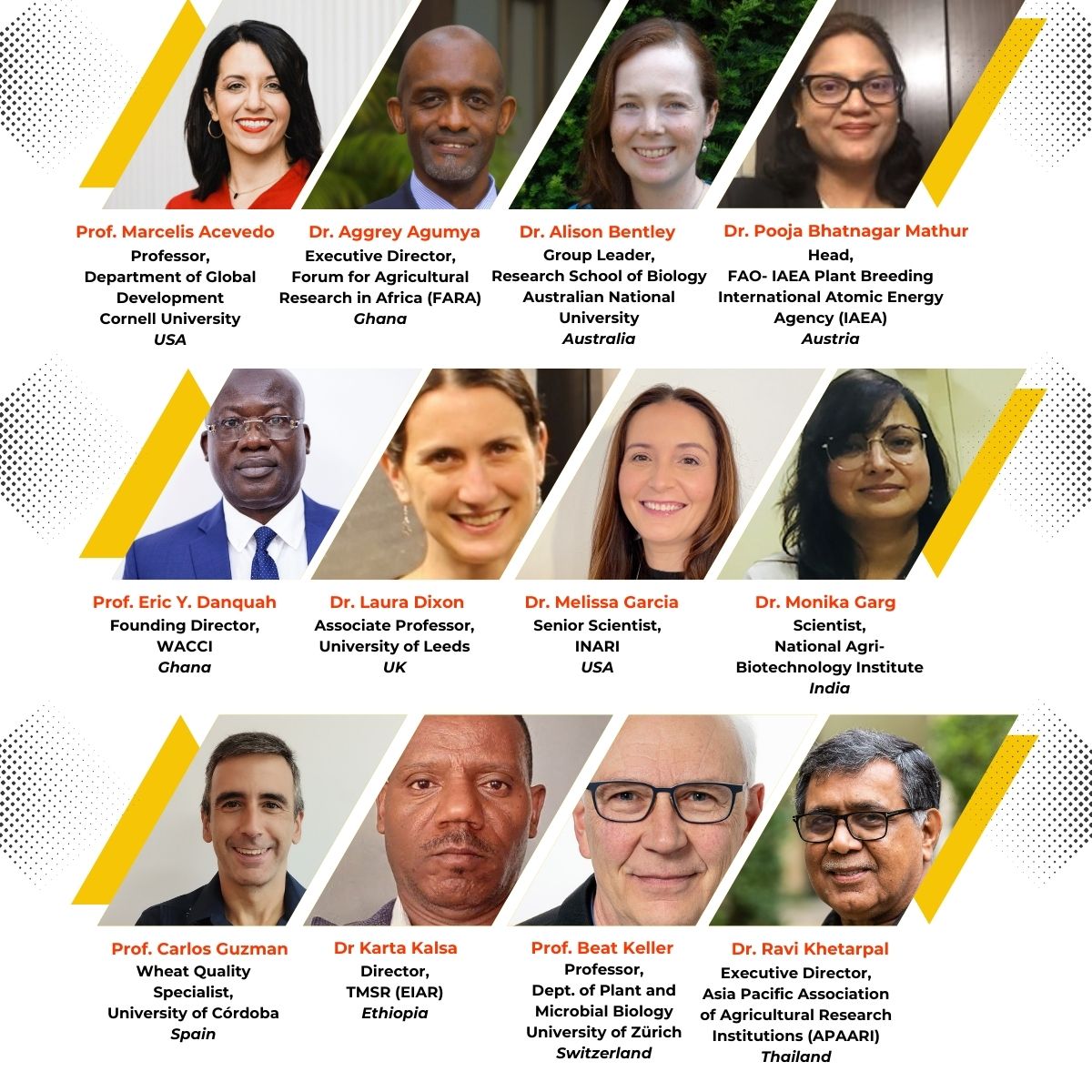 Borlaug Global Rust Initiative tweet media