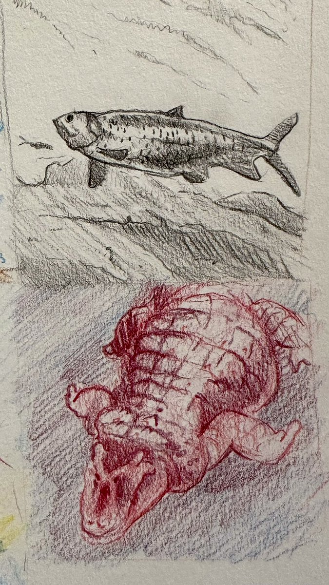 Fish n gator, roughs found in my sketchbook
