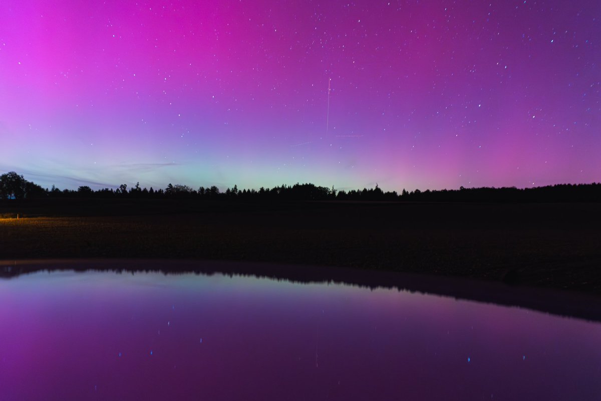 Jan Schick tweet media