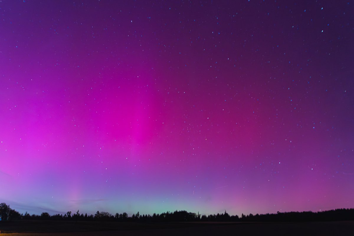 Jan Schick tweet media