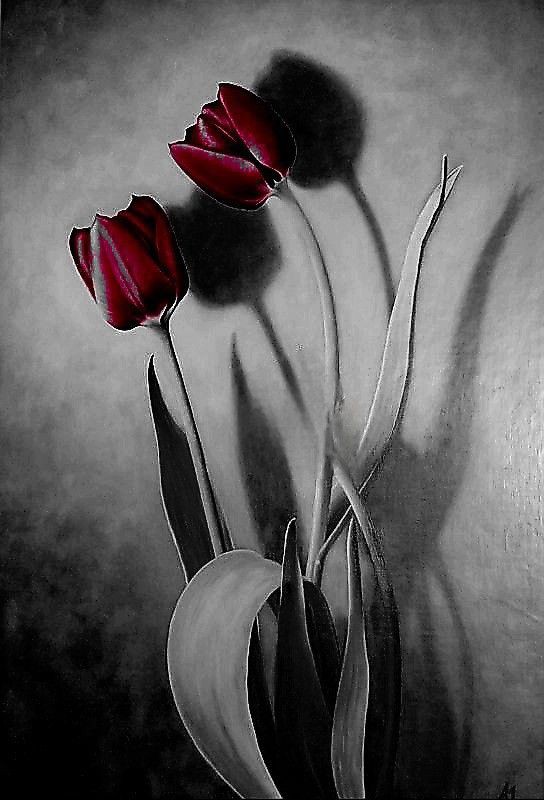 Olmayacak Şeyleri
umut etmek,
karamsarlık kapılarını aralamaktan öte gidemez