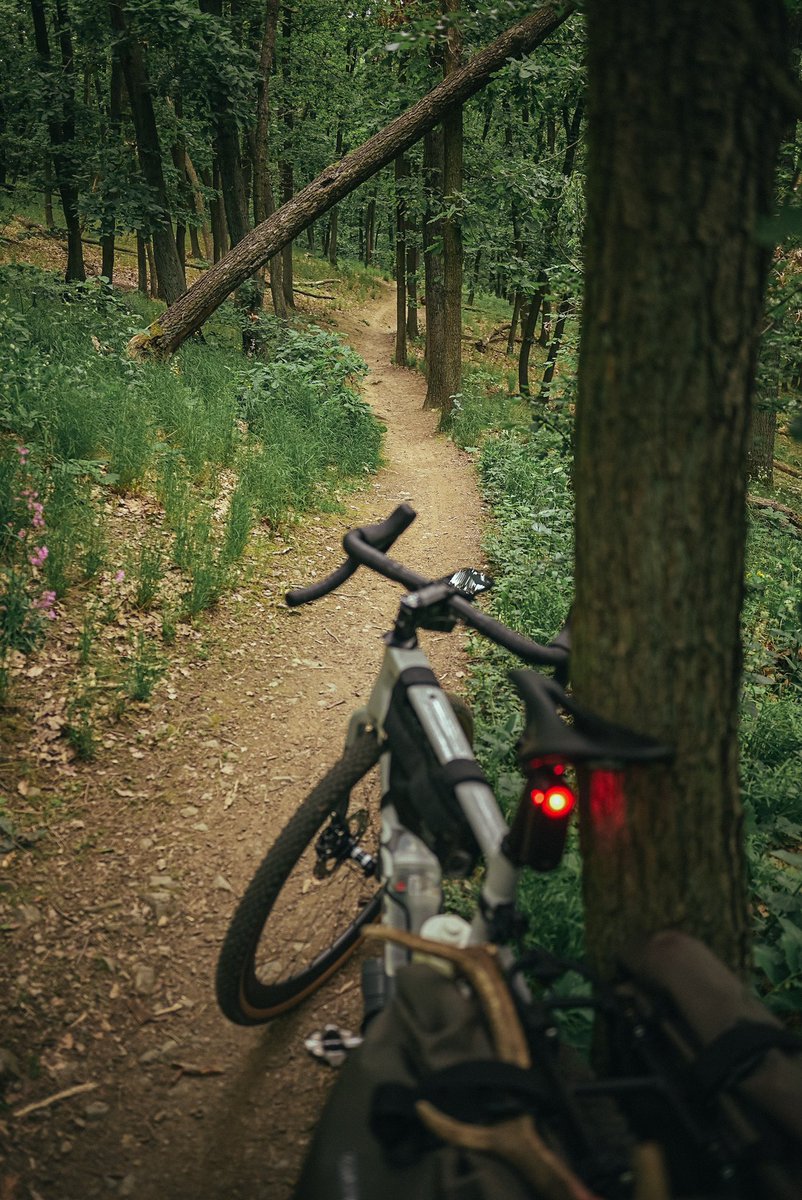 Čas do odjezdu se krátí. Je třeba ladit setup.