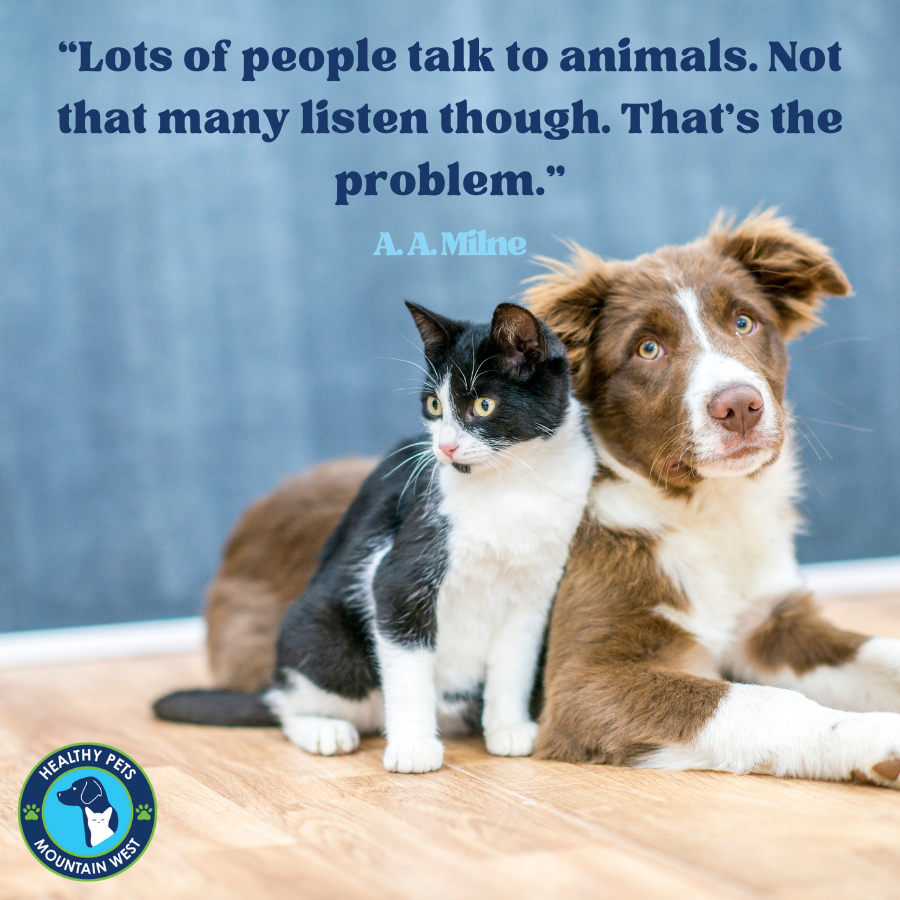Animals have a lot to tell us!
