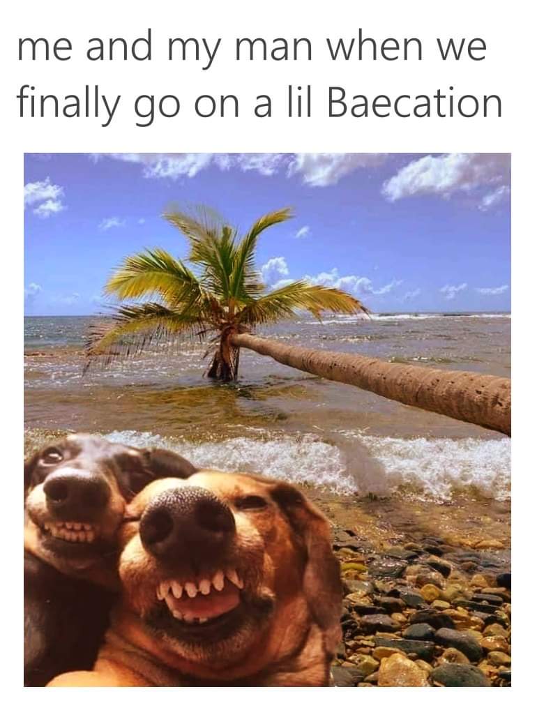 Maryfaithkarlee (@maryfai25907804) on Twitter photo 