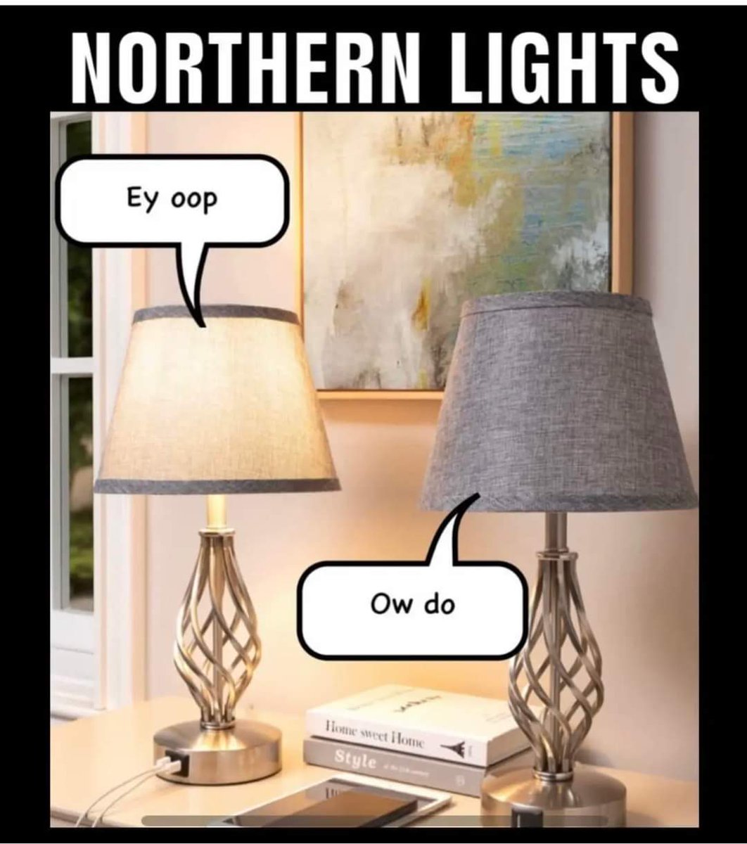If you know you know! 😁 #NorthernLights