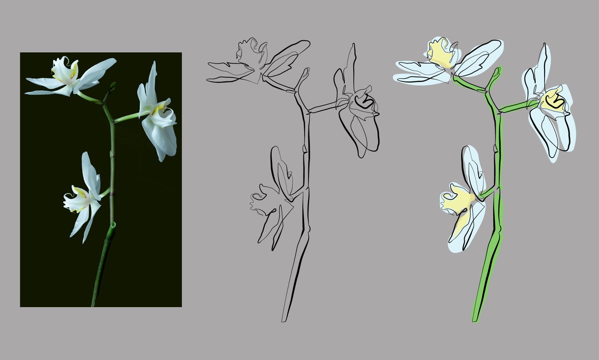 designartmaker1's tweet image. Continuous Line Art of a Flower in Full Color

Available  Freelance Work
Let&apos;s Talk About Your Project
Dribbble: dribbble.com/designartmaker
Email: rabbioit@gmail.com

Thanks

#lineart #continuouslineart #womenlineart #minimalistlineart #onelineart #linedrawing #flowerlineart #flower