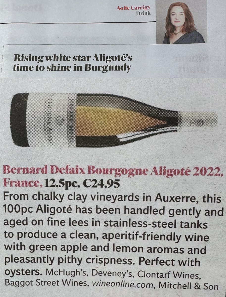 Diving deep into the world of Aligoté grape with @AoifeCarrigy_ in today’s @Independent_ie 👍 Props to Bernard Defaix for bringing out the best in this varietal!