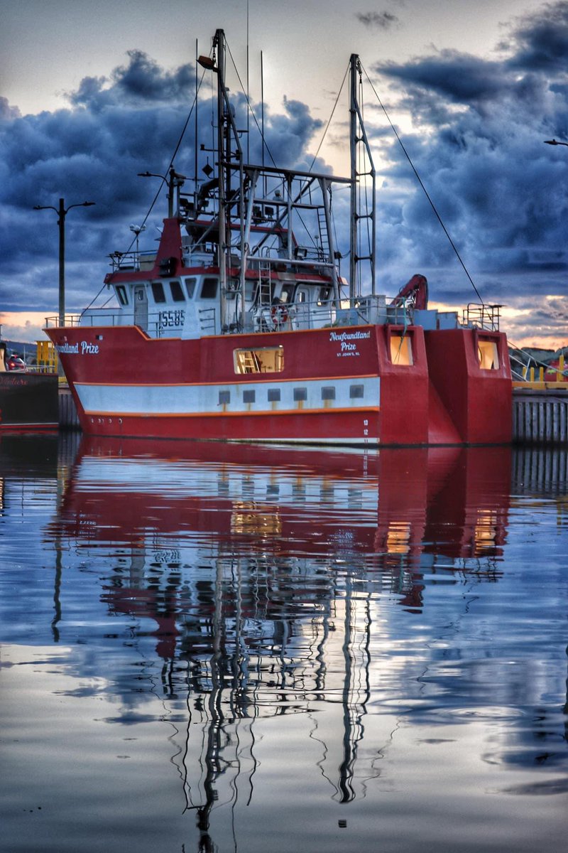 There’s some beautiful vessels in Bonavista Harbour. ✨Click for full effect.