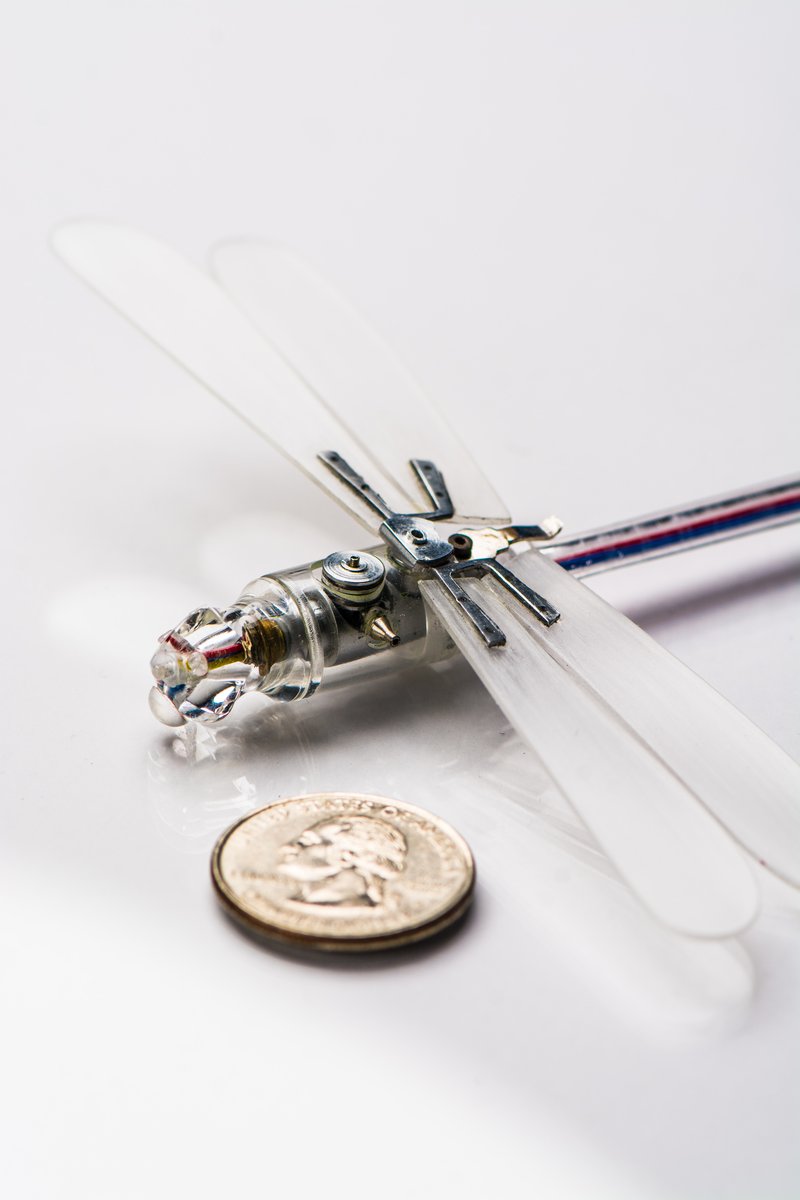 #SPYArtifact: Insectothopter model, KGB, ca. 1990s. Russian intelligence made this model of CIA's original 1976 Insectothopter – a dragonfly-shaped drone that carried a microphone. bit.ly/3UO9DED 📷: @eriksharar