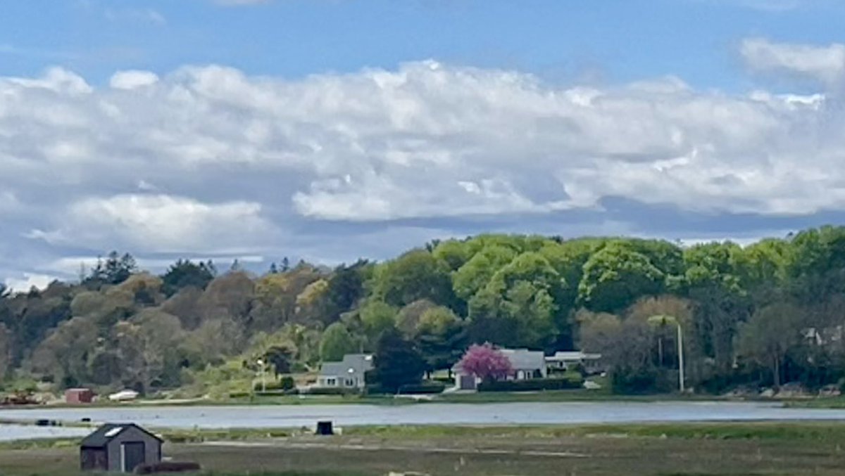 Cranberry bogs of Cape Cod as discussed in San Diego! Spring is here! Let the growing season begin.