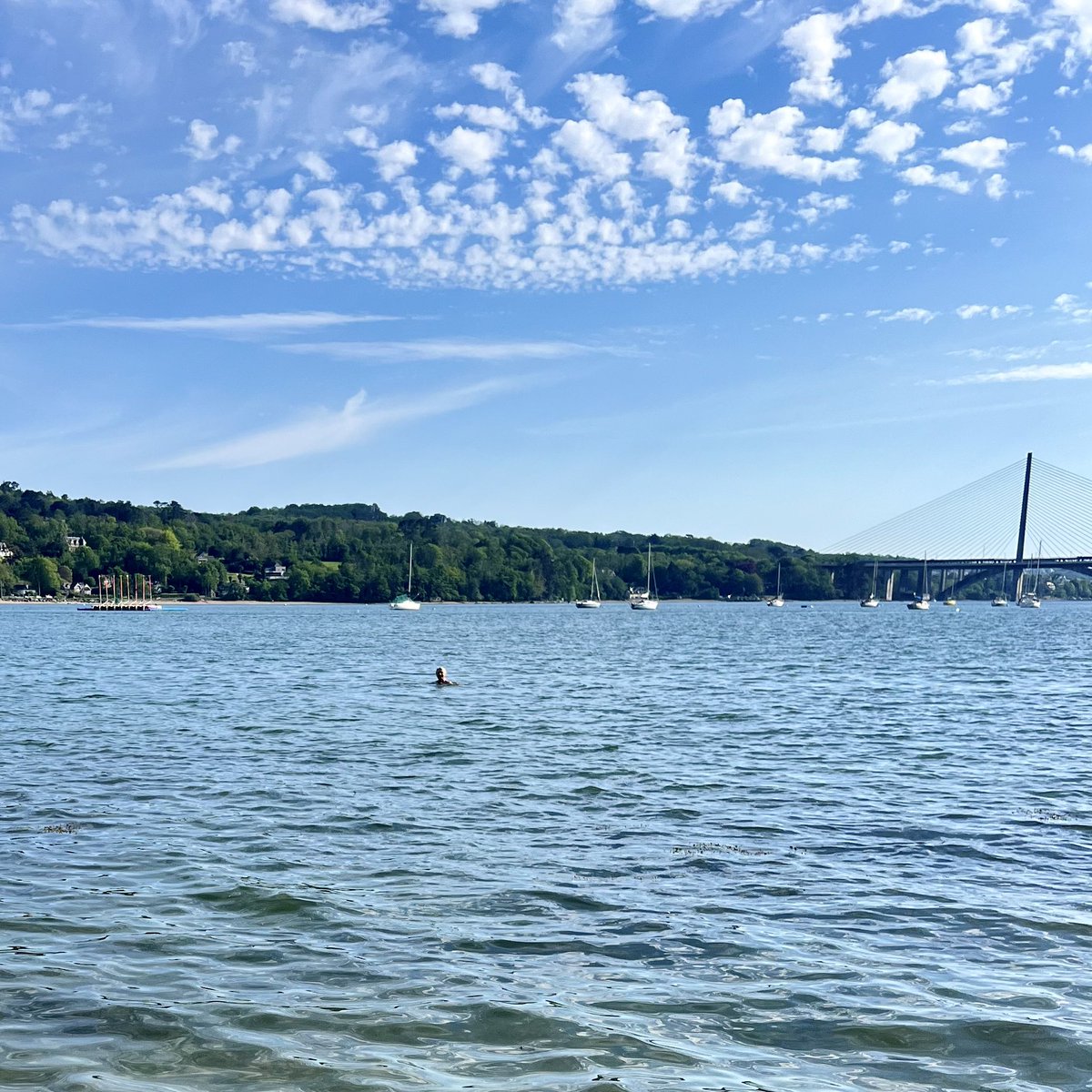 Genevieve_Hery's tweet photo. 🏊🏻♀️ Ce serait bien l’heure d’un petit #MoveForMuco.
11/05/2024 https://t.co/PSFTw0QlFl