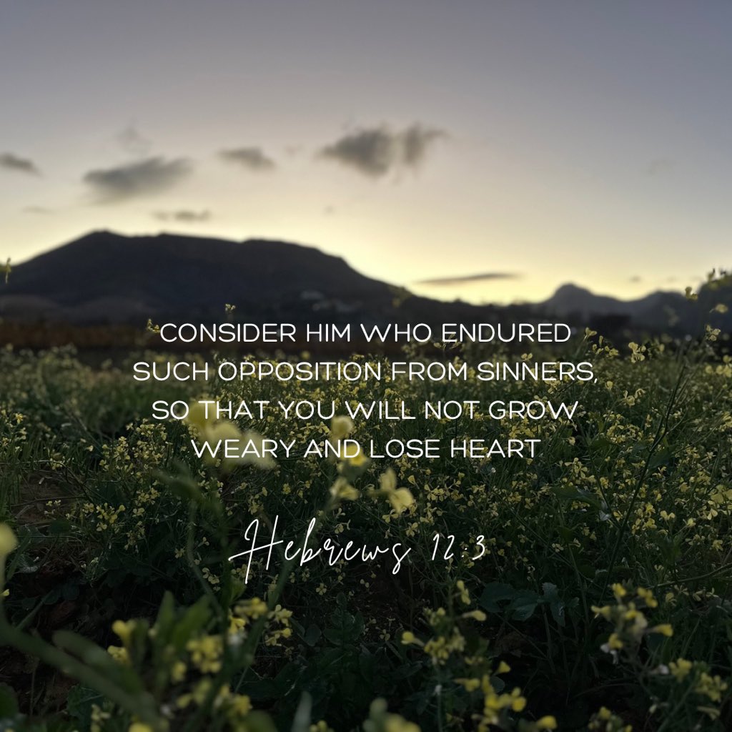 Hebrews 12:3
Consider him who endured such opposition from sinners, so that you will not grow weary and lose heart.

#Trust #faith #hope #love #grace #prayalways #GodIsFaithful