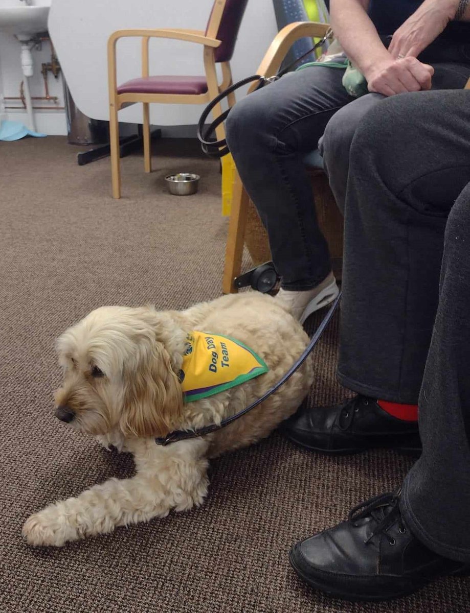 This week we shared Whisky's story, a volunteer with his dog Betty at our Helensburgh Dog Days. Recently we held a Dog Day at the New Rannoch Centre, bringing smiles & joy to those that attended. Our volunteers are amazing & make a real difference. Thank you for all that you do!