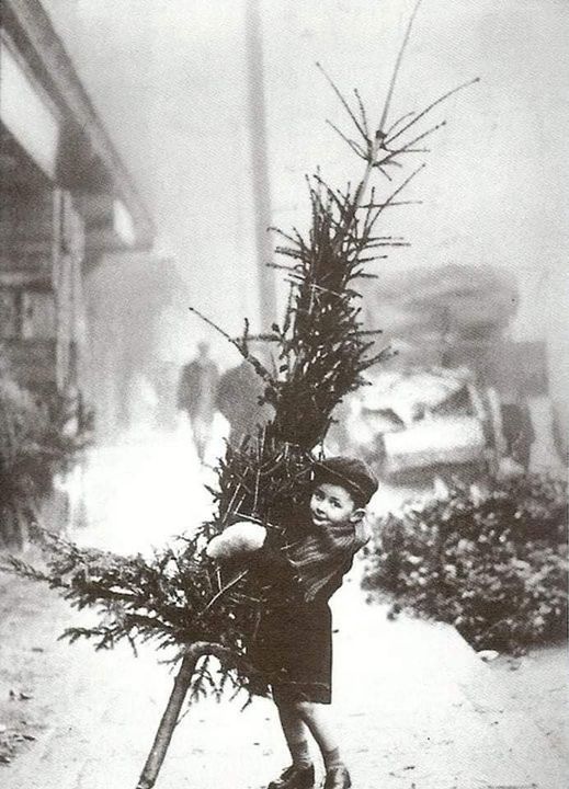 A young boy brings home a Christmas tree, 1900. The most interesting photos ever taken: historydefined.net/must-see-photo…