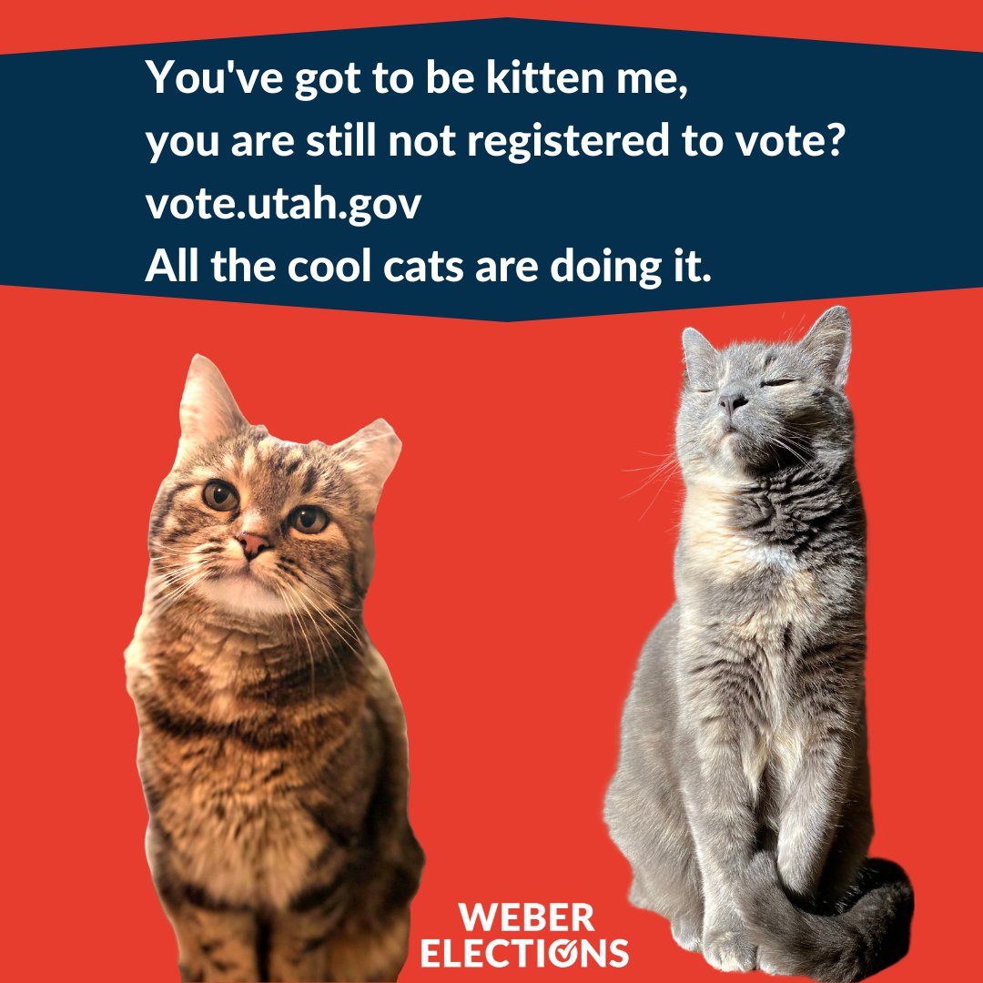 You've got to be kitten me; you are still not registered to vote? All the cool cats are doing it. vote.utah.gov #voterregistration #catsofpolsci #weberelections #webercounty #utahelections #electionsutah #caturday #catmemes #cats