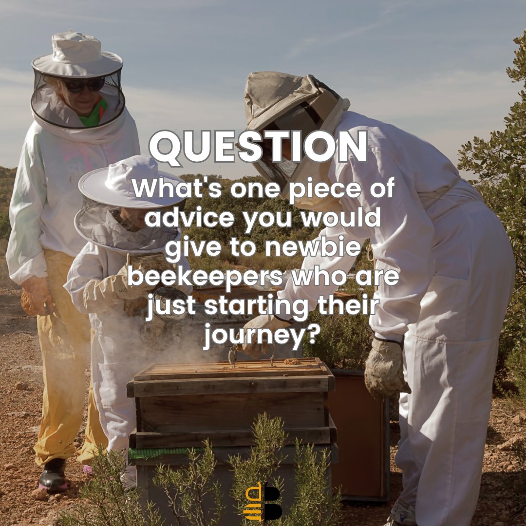 beebuiltsupply's tweet image. Experienced beekeepers, share your wisdom with newcomers! What's one advice for newbie beekeepers starting their journey? Drop your insights in the comments below! #BeekeepingCommunity #BeekeepingAdvice #BeekeepingTips
