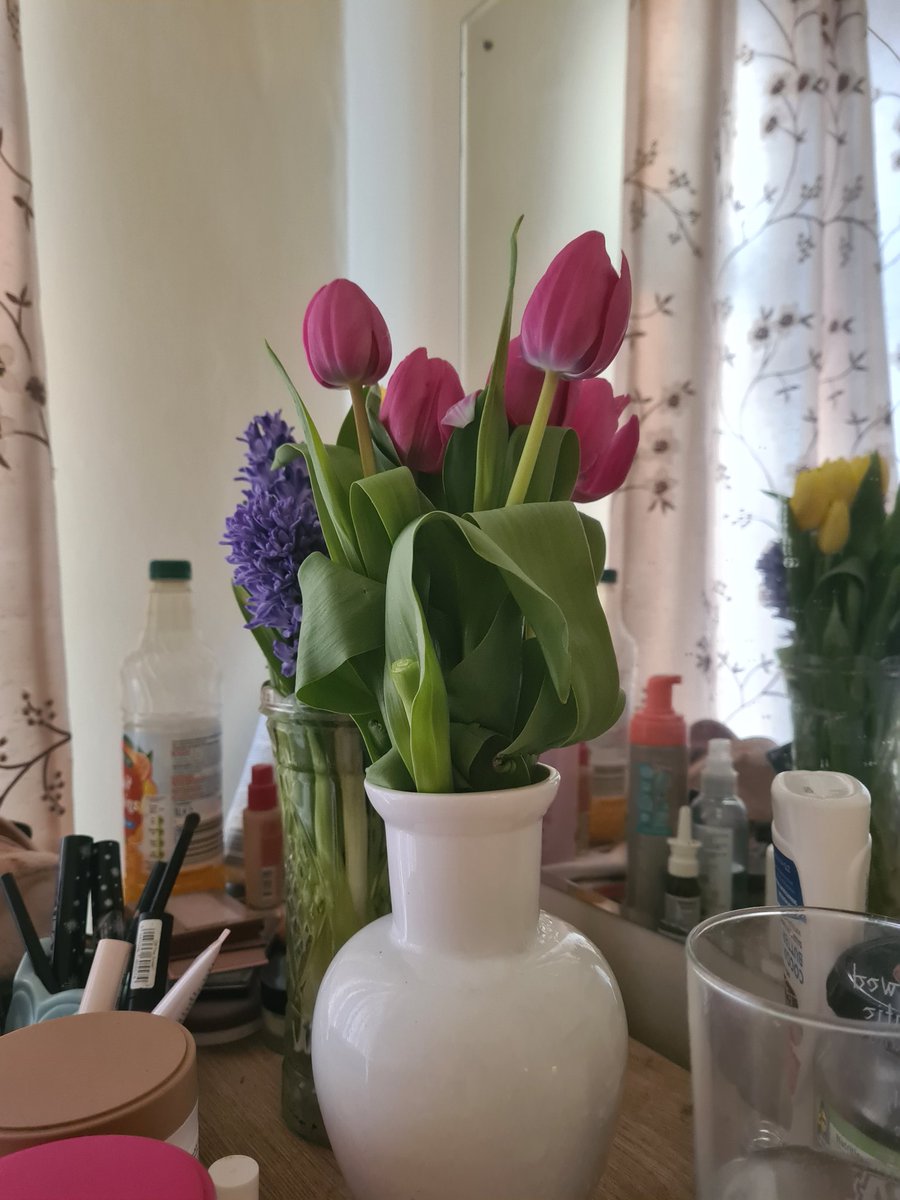 My son's lovely girlfriend got me some birthday tulips!! 🥰