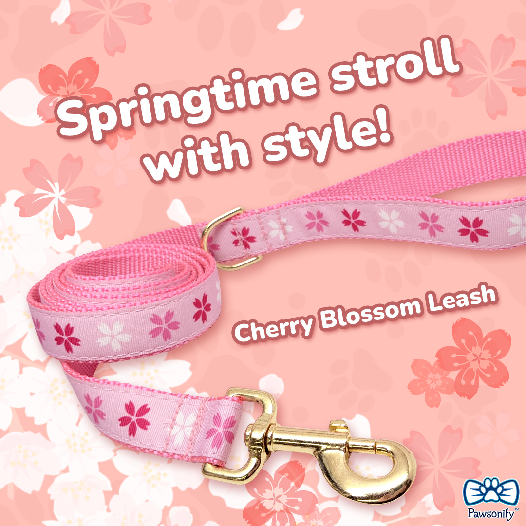 Step into spring in style with our Cherry Blossom pet leash - because every walk is a floral adventure! 🌸🐾

#cherryclossomleash #cherryblossom #petleash #petaccessories #pawsonify #springstyle