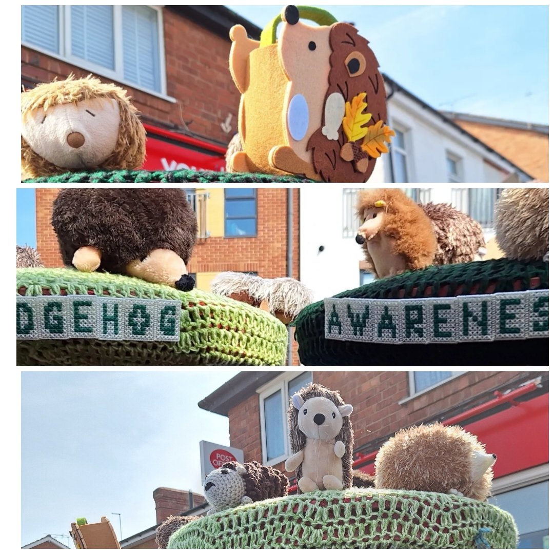 A member of the Solihull Craftivism group which is made up of WI members made these excellent toppers for Hedgehog Awarenes week. 
@Balsall_Common 
@WILifemagazine 
@WomensInstitute 
#hedgehogweek