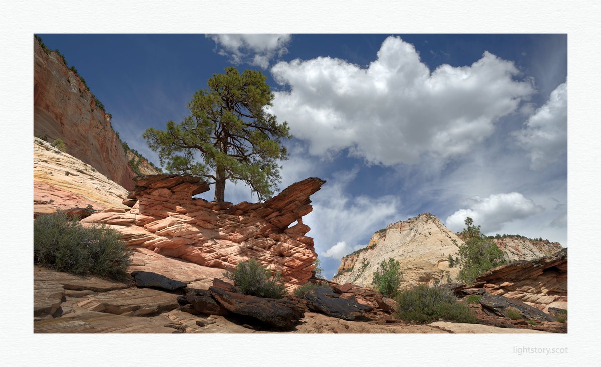 Zion National Park, Utah #landscape #landscapephotography #Nikon @UKNikon