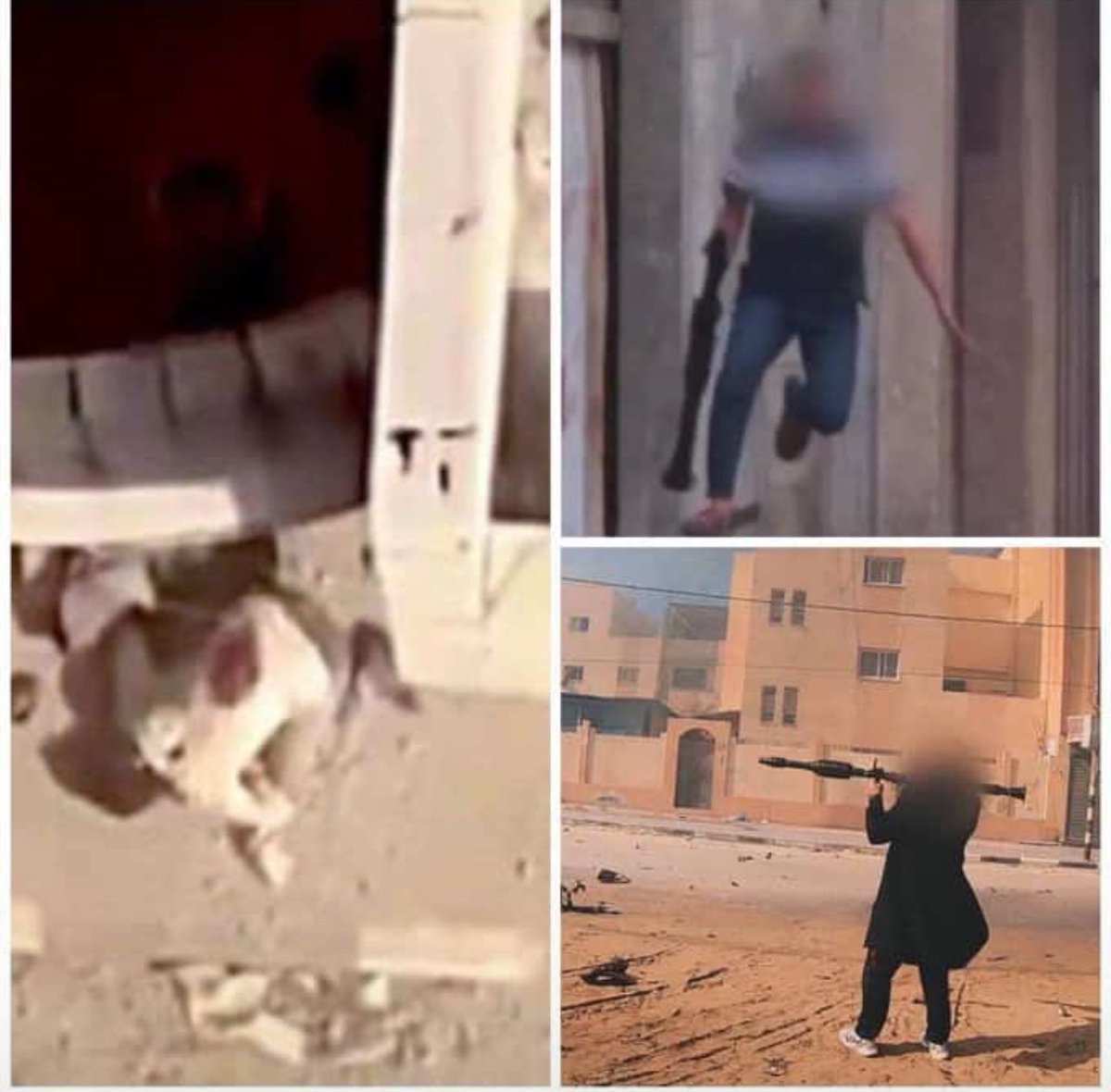 سنروي حكاياتكم بفخرٍ
ستبقون في قلوبنا دوماً
سلامٌ عليكم في الخالدين 💚