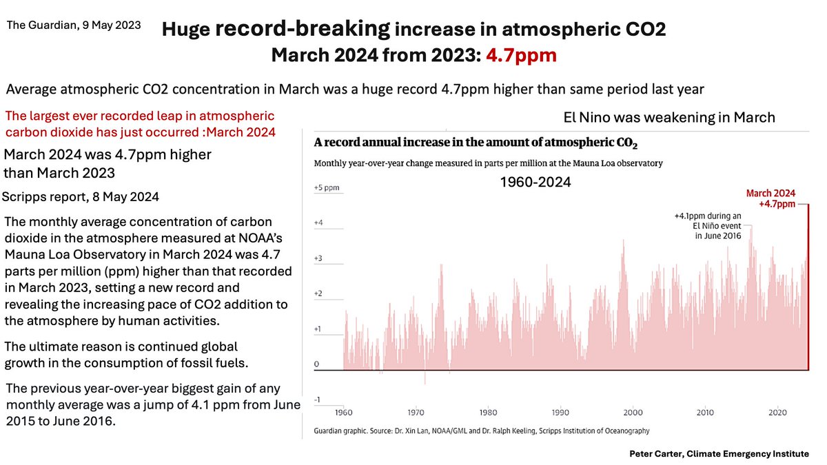 HUGE RECORD MARCH 2024 CO2 INCREASE 4.7ppm March 2024 atmospheric CO2 4.7ppm higher than 2023. Previous record 4.1 ppm June 2015 to 2016 March 24 El Niño fading Is Fossil fuels (Scripps) keelingcurve.ucsd.edu/2024/05/08/lar… #CO2 #ClimateChange #globalwarming