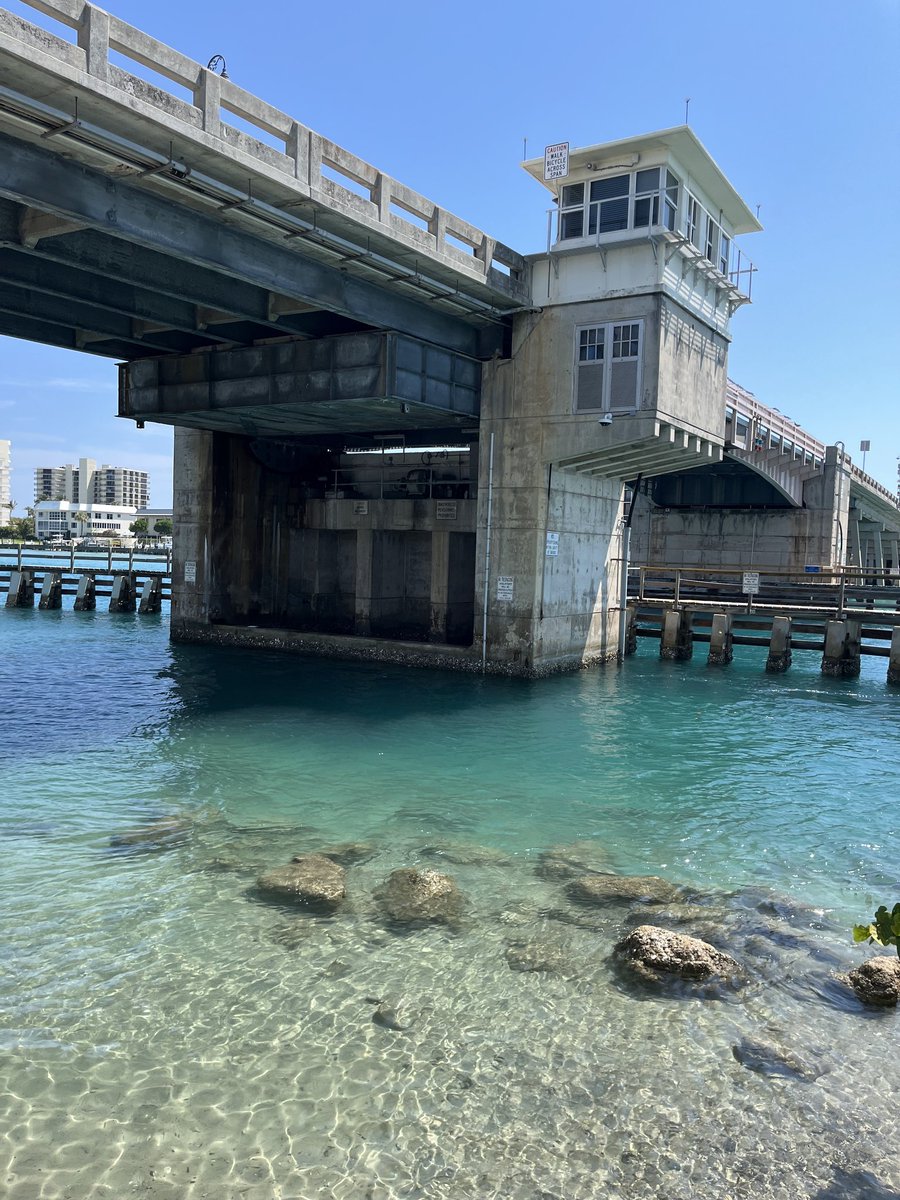 The simple beauty of Cato's Bridge in Jupiter/Tequesta, FL... You don't need to look too far to find beauty in paradise.

#catosbridge #Jupiter #jupiterflorida #tequeata #tequestaflorida #realtor #jupiterrealtor #LiveSouthFL #LiveSouthFloridaRealty