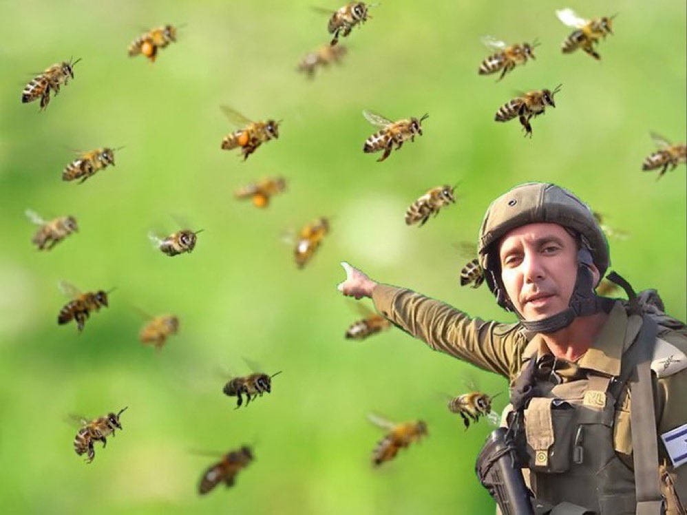Hamas bees! As a qualified beemaster can I just say to dozen or so arsewipes in @IDF who were attacked by swarms of angry honeybees - that’s what happens when you fire into a beehive. Once again muppet army discovers the hard way even Mother Nature supports Palestine resistance!