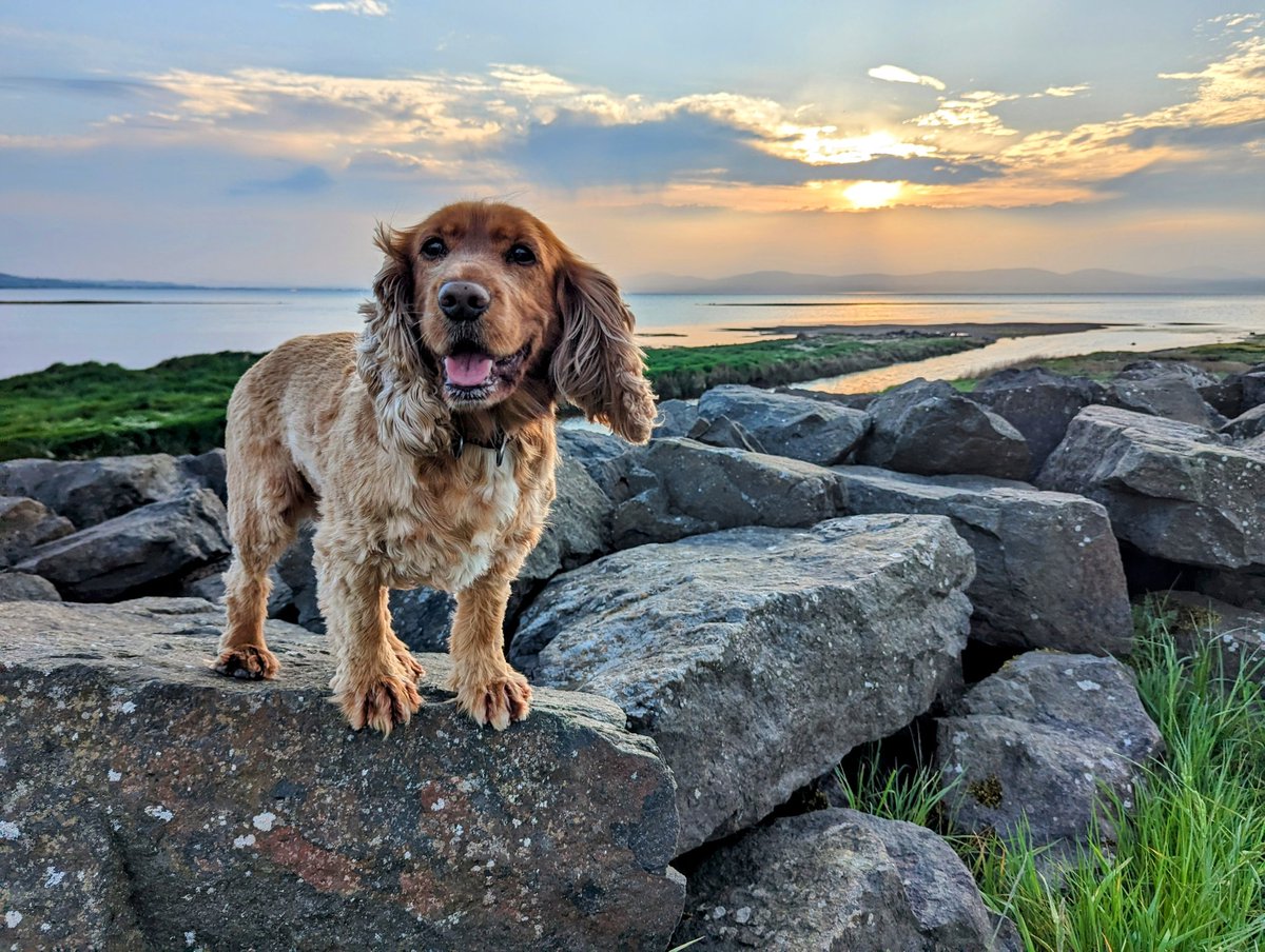 Beautiful sunset at Ballykelly sea wall  @bbcniweather @angie_weather @WeatherCee @geoff_maskell @VisitCauseway @loughsagency @LoughFoyleFerry @UTVNews @barrabest   @WeatherAisling @StormHour @ThePhotoHour @Louise_utv @GoToIreland @itvweather @bbcweather