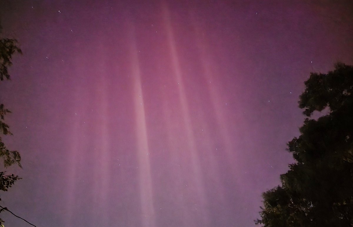 panhandlechef's tweet photo. The Northern Lights over Florida. Never would have imagined seeing this from @VisitPensacola #Auroraborealis https://t.co/rYUCtvBXOR