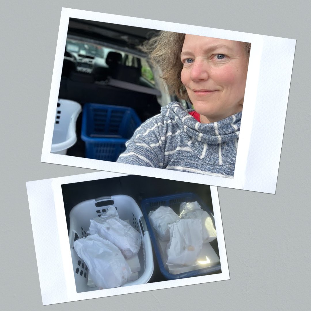 Shoutout to volunteer Rebecca Taplin for food rescue transport ingenuity via laundry basket! Rebecca picked up treats this morning and delivered them to a @HousingFamilies motel shelter in Woburn. #foodrescue #community #melrosema