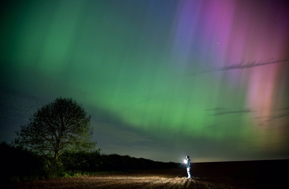 Simon Ingram tweet media