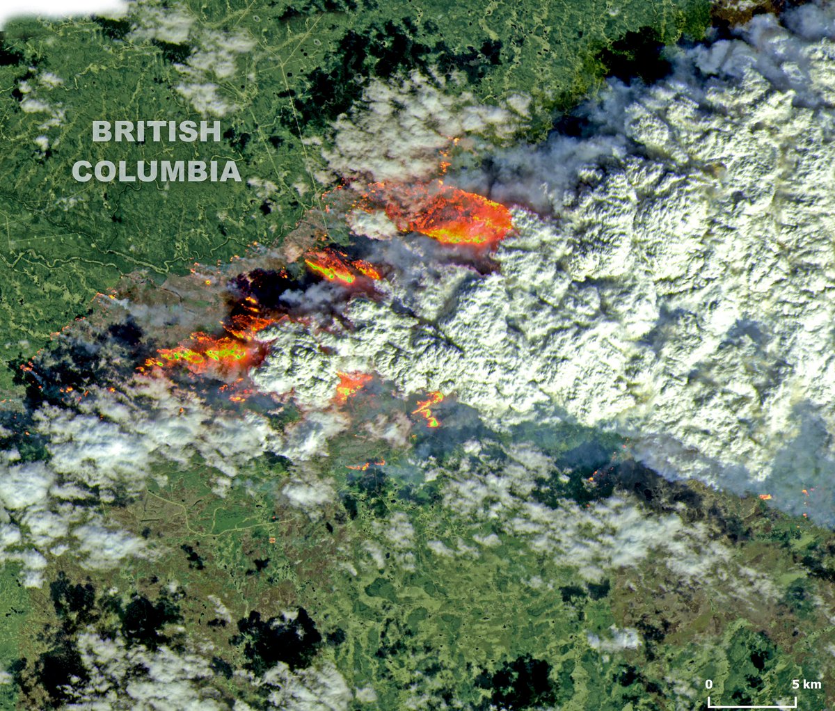 🔴⚠️🔥🇨🇦A significant #drought in #winter time boosts a tremendous start of #wildfires in W.#Canada. Fires are reported in #Alberta & #BritishColumbia,with smoke already engulfing towns like #FortNelson,60km W from the #wildfire in the #Landsat 9 📸of May10 #ClimateEmergency 1/2