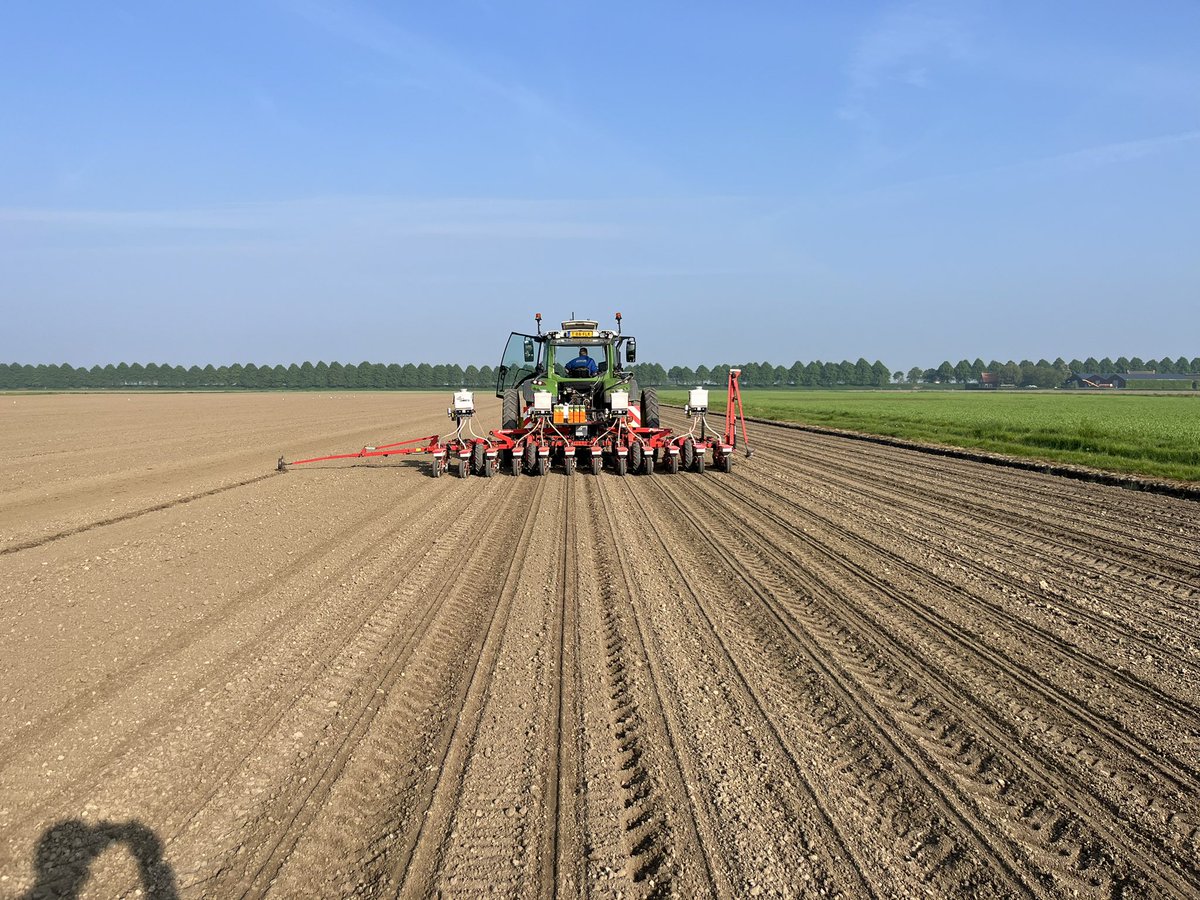 kees vermue tweet media