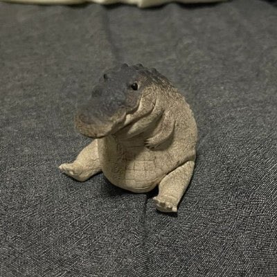 <a href="/blknoiz06intern/">Breaking911</a> join us <a href="/gomugator/">Gomu Gator</a> 
study chubby cuddly gator $gomu